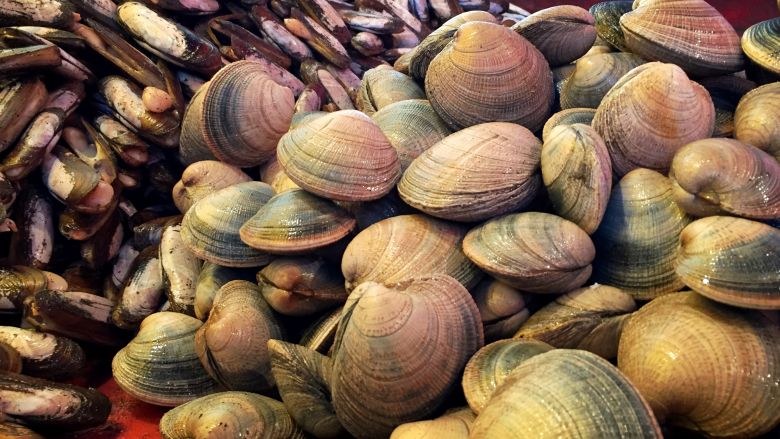 Calbuco: Niño de 3 años fallecio tras consumir mariscos con marea roja,  otras tres personas se encuentran de extrema gravedad.